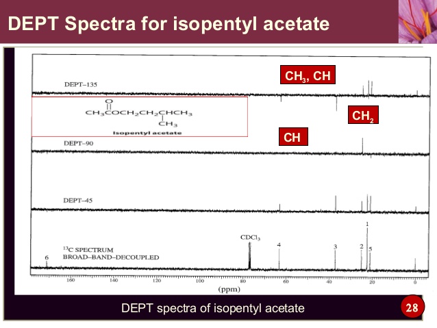 spectroscopy of organic compounds by ps kalsi ebooking